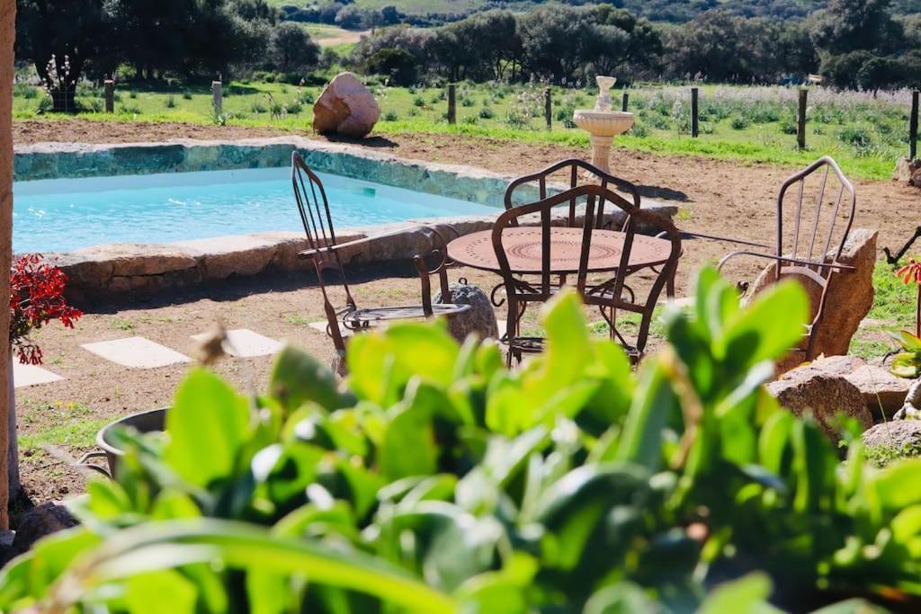 Villa Bergerie De Charme Pedi Lione Calvi  Esterno foto