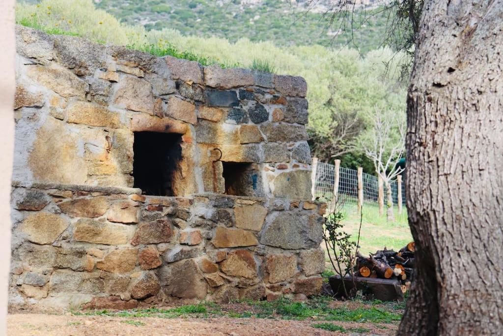 Villa Bergerie De Charme Pedi Lione Calvi  Esterno foto